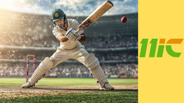 Insights into Top 7 Sports to Bet on in India