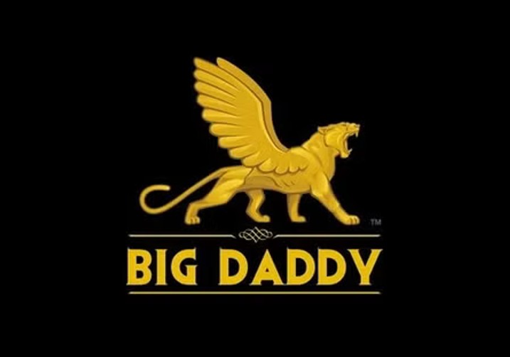 Big Daddy Game: A Digital Platform for Online Participation