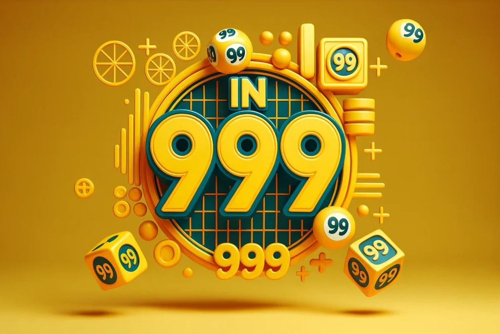 In999: A Digital Participation Platform Overview