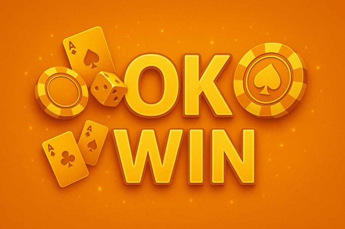 Ok Win A Digital Participation Platform Overview