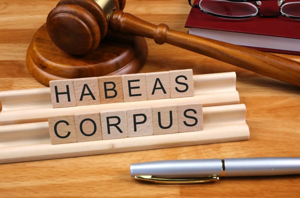 Bond Hearing vs. Habeas Corpus: Which Option Applies in Immigration Detention?