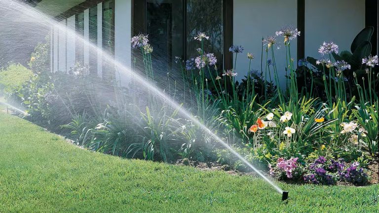 How Often Should You Really Be Watering Your Lawn?